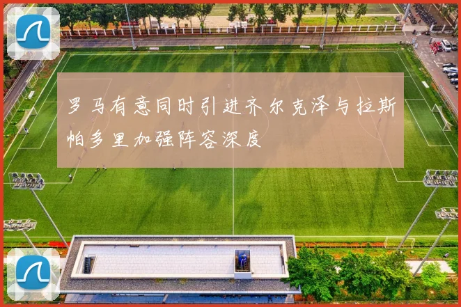 罗马有意同时引进齐尔克泽与拉斯帕多里加强阵容深度