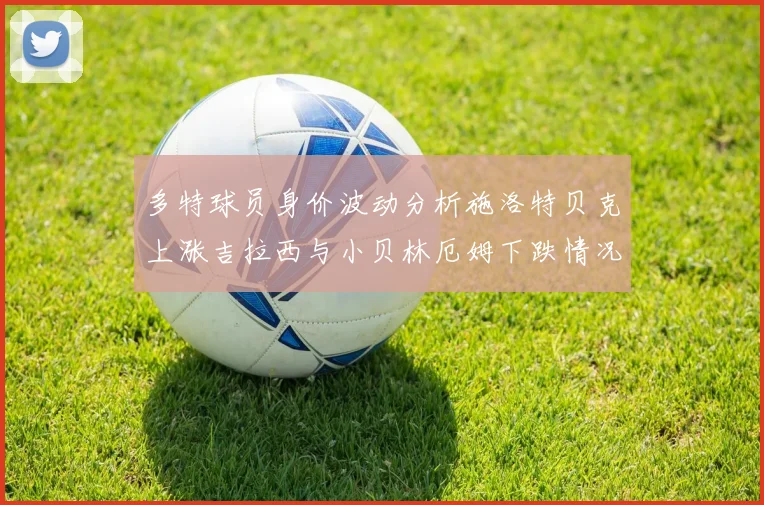 多特球员身价波动分析施洛特贝克上涨吉拉西与小贝林厄姆下跌情况解读