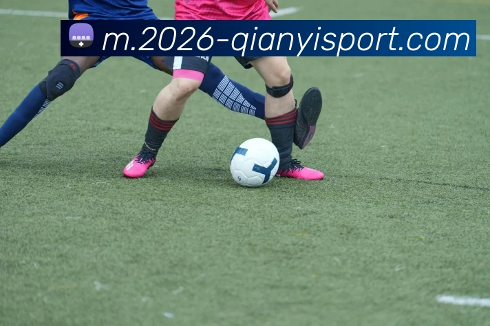 千亿体育APP 封面图